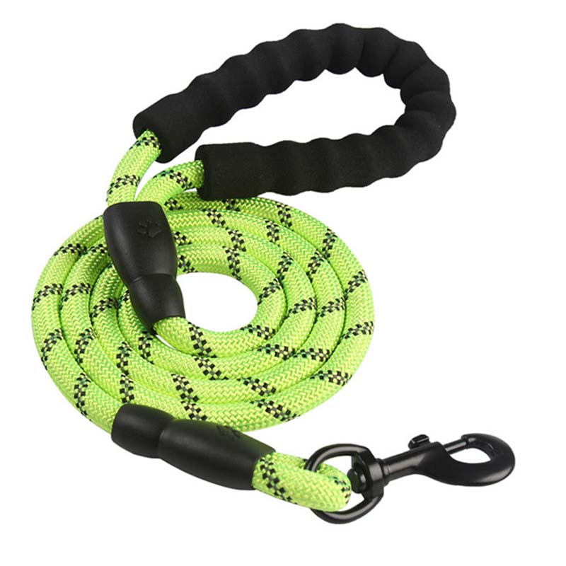Pet leash