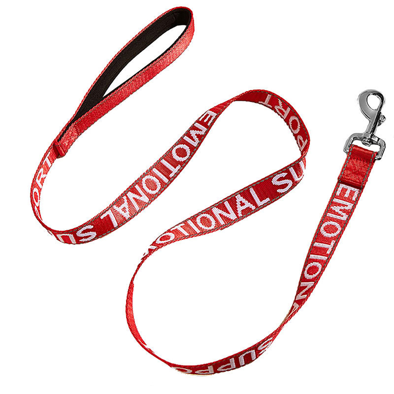 Nylon Dog Leash