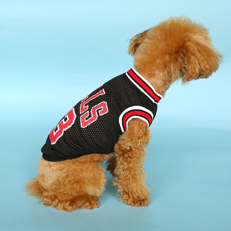 Pet Apparels