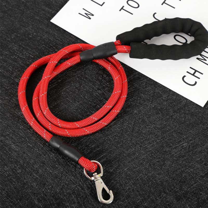 Pet leash