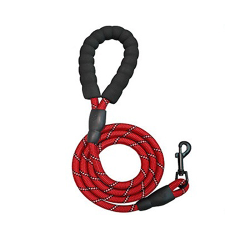 Pet leash