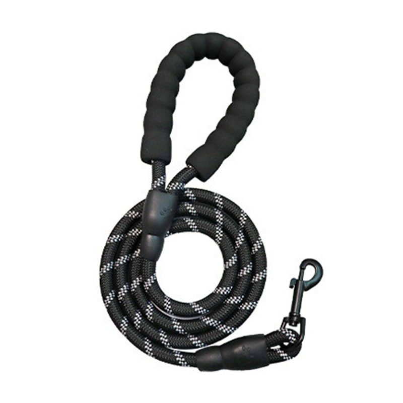 Pet leash