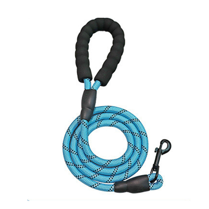 Pet leash