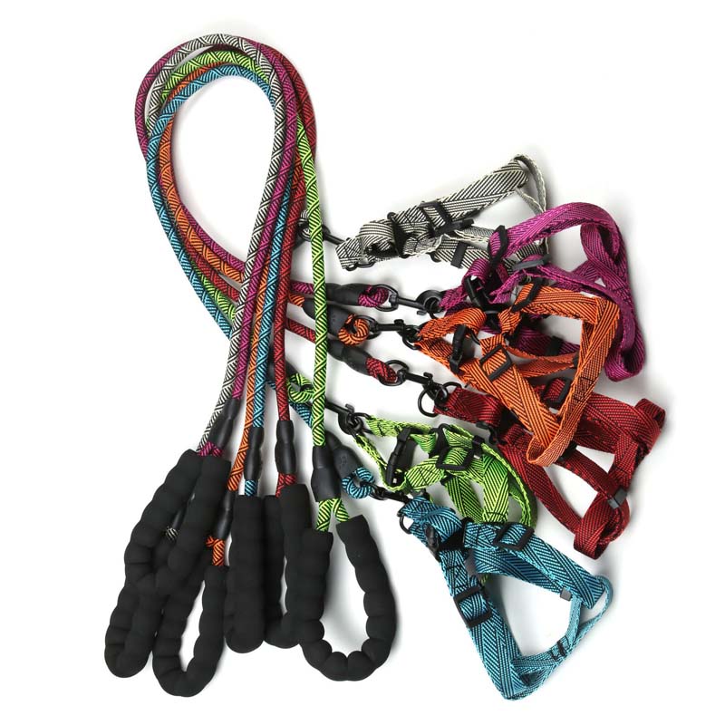 pet leash