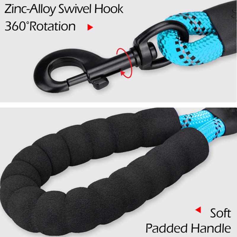 Pet leash