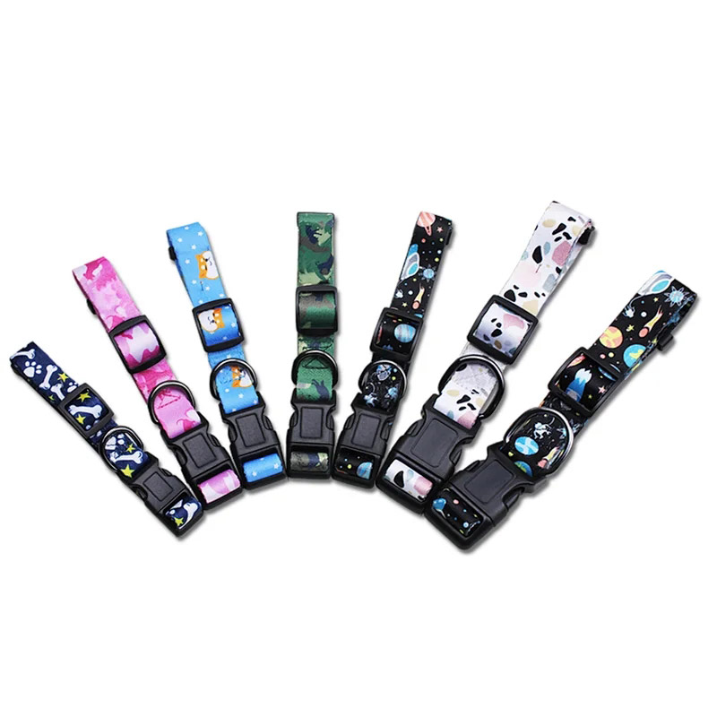 Pet Collar Leashes