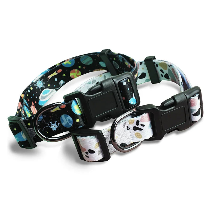 Pet Collar Leashes