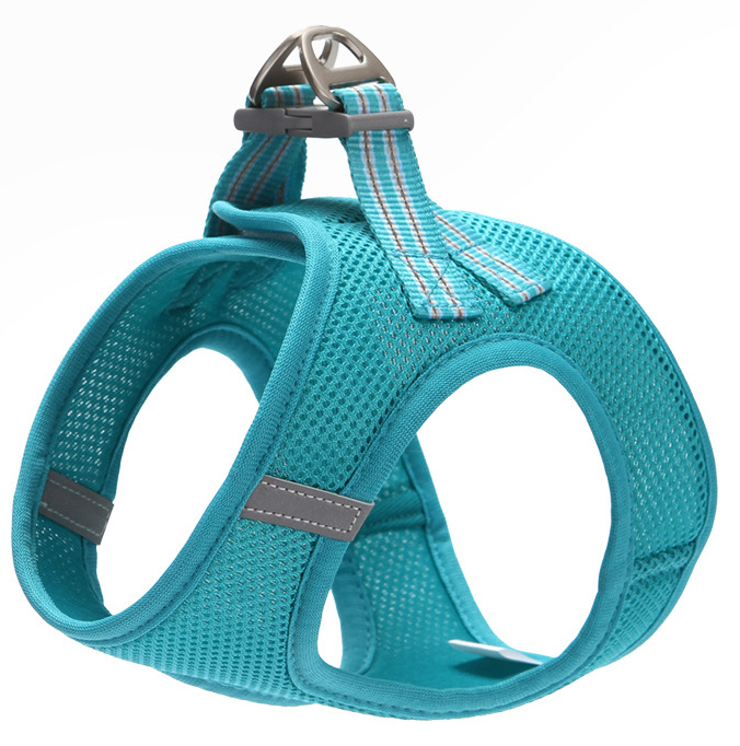 dog harness