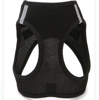 dog harness
