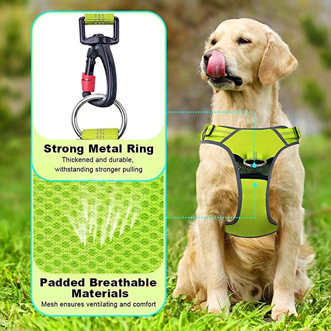 Pet Dog Harness