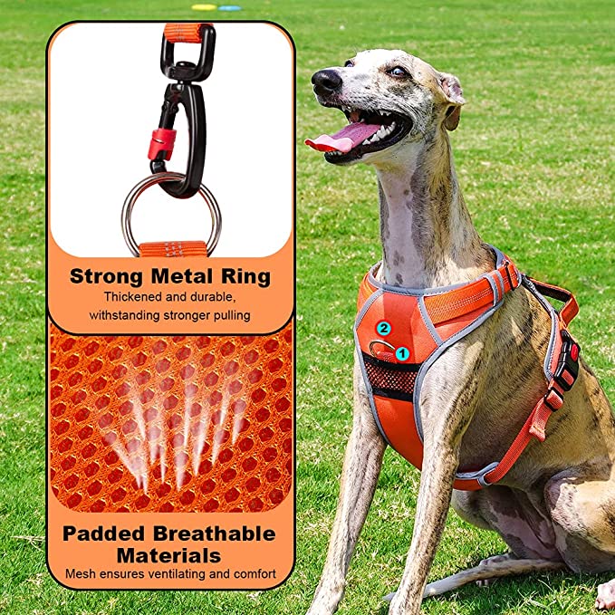 Pet Dog Harness