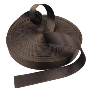 Polypropylene PP Webbing
